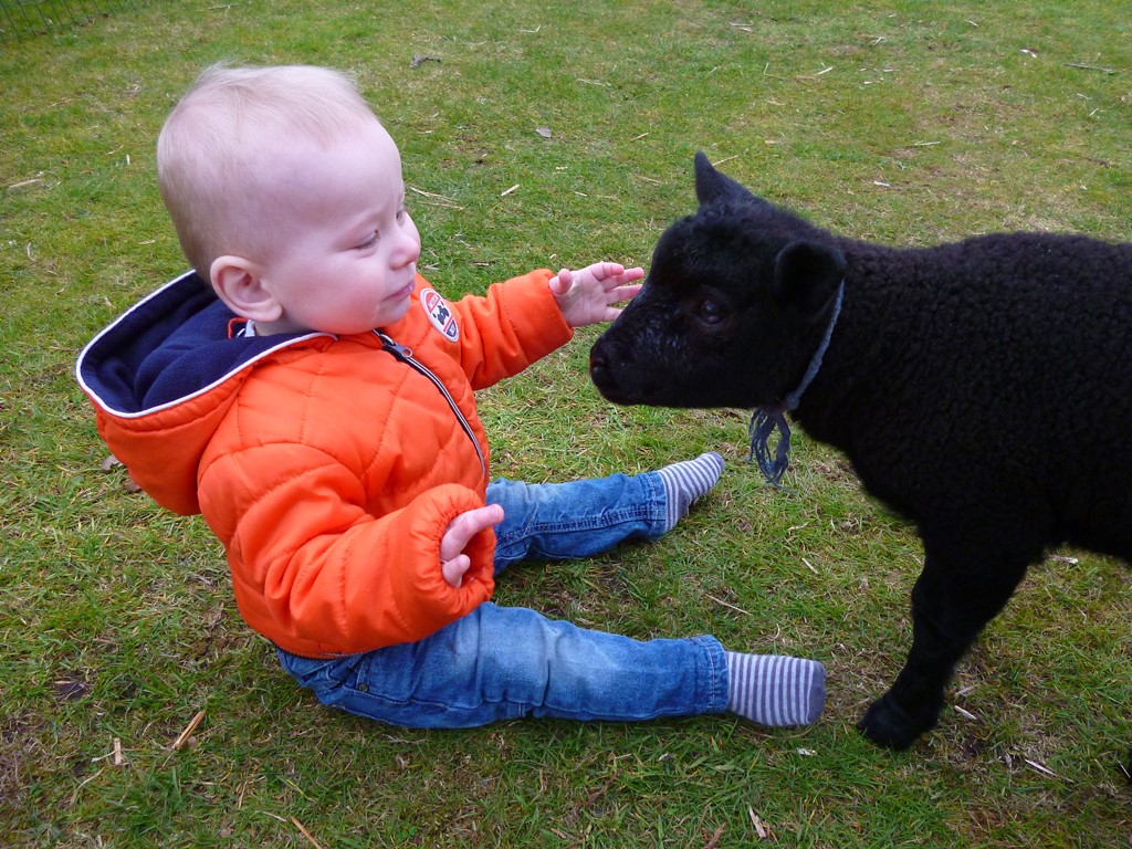 jongen met geitje